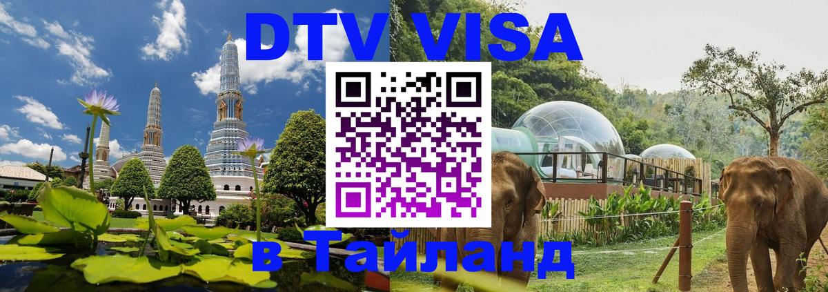 Сколько стоит DTV виза — актуальные цены, оформление даже без документов - 21.11.2025 